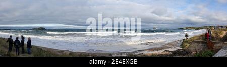 East Beach, Milsey Bay und Firth of Forth - Bass Rock in der Ferne Stockfoto