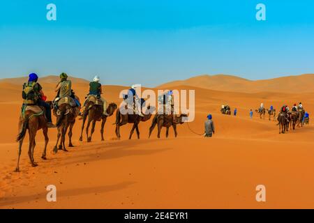 Karawane der Touristen in der Sahara Stockfoto