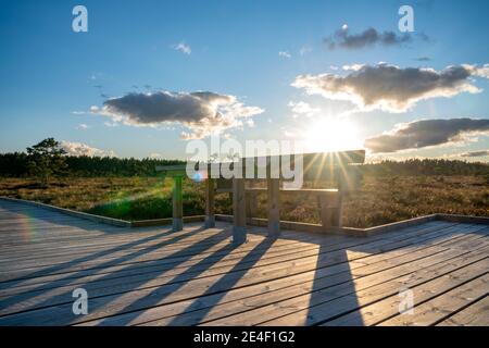 Sonne wirft wenig Licht während der Ruhe Sonnenuntergang im Sommer über Holzfußweg durch Marsch und Moor Landschaft im Dumme mosse Nature Reserve bei Jonkoping, Stockfoto