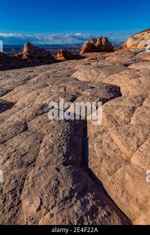 Navajo-Sandstein in Blumenkohl-Form, geknackt in Polygone, im White Pocket, Vermilion Cliffs National Monument, Arizona, USA Stockfoto