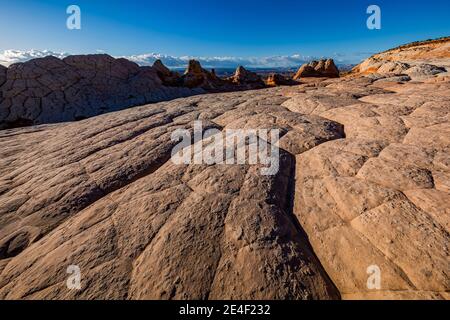 Navajo-Sandstein in Blumenkohl-Form, geknackt in Polygone, im White Pocket, Vermilion Cliffs National Monument, Arizona, USA Stockfoto