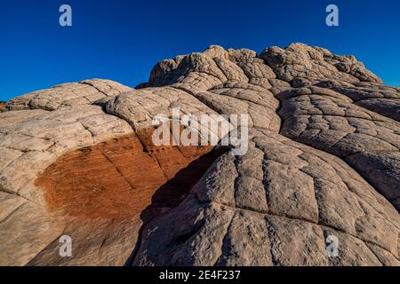 Navajo-Sandstein in Blumenkohl-Form, geknackt in Polygone, im White Pocket, Vermilion Cliffs National Monument, Arizona, USA Stockfoto