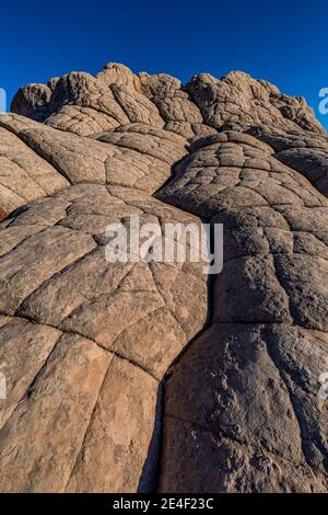 Navajo-Sandstein in Blumenkohl-Form, geknackt in Polygone, im White Pocket, Vermilion Cliffs National Monument, Arizona, USA Stockfoto