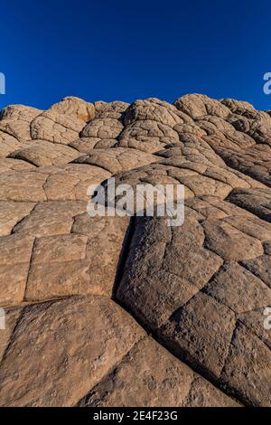 Navajo-Sandstein in Blumenkohl-Form, geknackt in Polygone, im White Pocket, Vermilion Cliffs National Monument, Arizona, USA Stockfoto