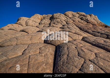 Navajo-Sandstein in Blumenkohl-Form, geknackt in Polygone, im White Pocket, Vermilion Cliffs National Monument, Arizona, USA Stockfoto