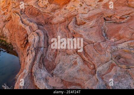 Geformte und gestreift Navajo Sandsteinformationen von White Pocket, Vermilion Cliffs National Monument, Arizona, USA Stockfoto