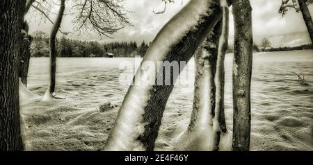 FOTOKUNST: Winterszene bei Bad Tölz, Bayern, Deutschland Stockfoto