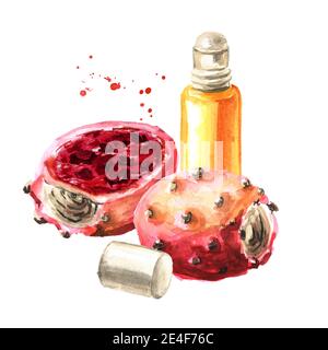 Stachelige Birnen und eine Flasche Öl. Aquarell handgezeichnete Illustration, isoliert auf weißem Hintergrund Stockfoto