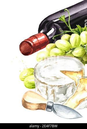 Camembert, Weißschimmel Italienisch, Französisch Käse mit Trauben und eine Flasche Wein. Handgezeichnete Aquarellillustration, isoliert auf weißem Hintergrund Stockfoto