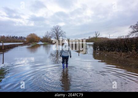 Frau, die durch überflutete Landstraße in Cheshire gesperrt Landschaft durch Stürme und Überschwemmungen nach Sturm Christoph Christophe Stockfoto