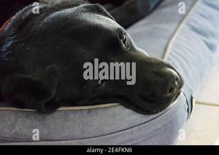 Woolwinephotography.com Stockfoto