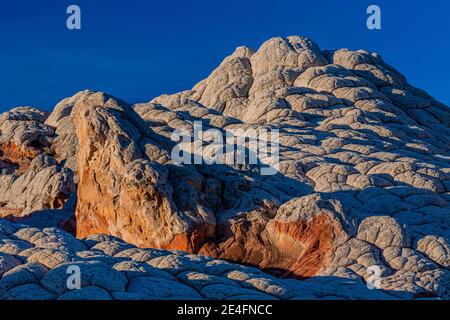 Navajo-Sandstein in Blumenkohl-Form, geknackt in Polygone, im White Pocket, Vermilion Cliffs National Monument, Arizona, USA Stockfoto