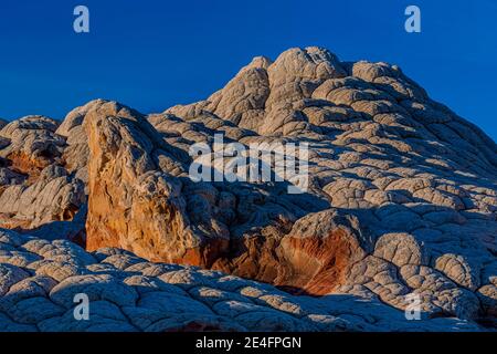 Navajo-Sandstein in Blumenkohl-Form, geknackt in Polygone, im White Pocket, Vermilion Cliffs National Monument, Arizona, USA Stockfoto