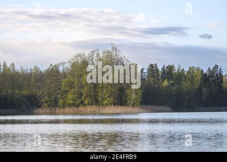 See mit kleiner Insel in Lettland im frühen Frühjahr. Stockfoto