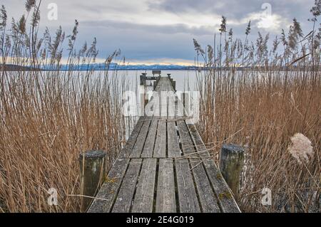 Alte hölzerne Dock in einem See. Alte hölzerne Anlegestelle umgeben von Schilf in einem Bergsee. Stockfoto