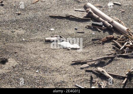 Plastica ininante riversata sul litorale dopo ogni mareggiata Stockfoto