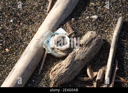 Plastica ininante riversata sul litorale dopo ogni mareggiata Stockfoto