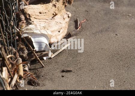 Plastica ininante riversata sul litorale dopo ogni mareggiata Stockfoto