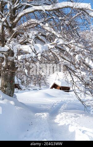 Velika Planina, Slowenien - Januar 9 2021 - romantische schöne Holzhütte, bedeckt mit frischem und glitzerndem Schnee auf einer Alm mit Bäumen Stockfoto