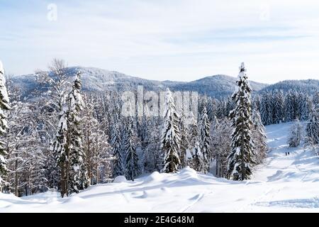 Schöne Aussicht von einem schneebedeckten Bergrücken mit Wäldern Auf dem Hügel an einem sonnigen Tag im Winter Stockfoto