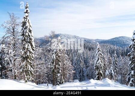 Schöne Aussicht von einem schneebedeckten Bergrücken mit Wäldern Auf dem Hügel an einem sonnigen Tag im Winter Stockfoto