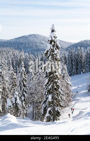 Schöne Aussicht von einem schneebedeckten Bergrücken mit Wäldern Auf dem Hügel an einem sonnigen Tag im Winter Stockfoto