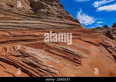 Navajo Sandsteinformationen in fantastischen Formen im White Pocket, Vermilion Cliffs National Monument, Arizona, USA Stockfoto