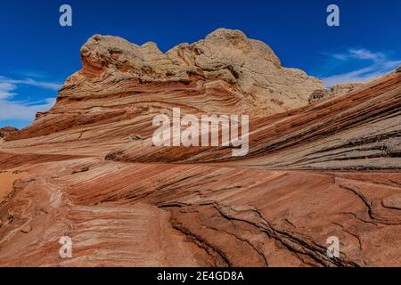 Navajo Sandsteinformationen in fantastischen Formen im White Pocket, Vermilion Cliffs National Monument, Arizona, USA Stockfoto