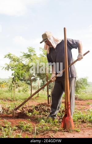 Ibitinga / Sao Paulo / Brasilien - 01 23 2020: Ein Mann, der mit rustikalen Werkzeugen hart beim Jäten in seinem eigenen Camp unter starker Sonne arbeitet Stockfoto