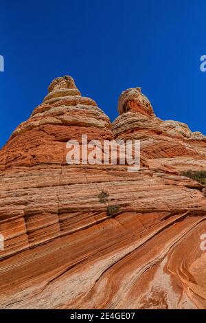 Navajo Sandsteinformationen in fantastischen Formen im White Pocket, Vermilion Cliffs National Monument, Arizona, USA Stockfoto