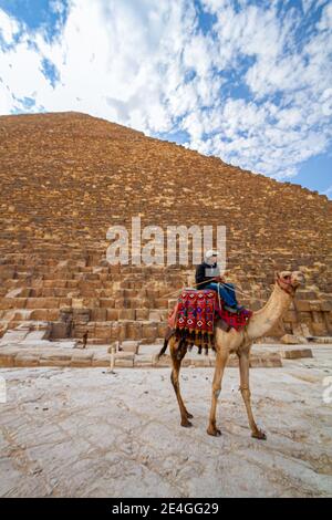 Ägyptischer Reiter auf einem Dromedar vor der Cheops Pyramide, Ägypten Stockfoto