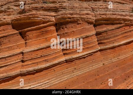 Navajo Sandsteinformationen in fantastischen Formen im White Pocket, Vermilion Cliffs National Monument, Arizona, USA Stockfoto