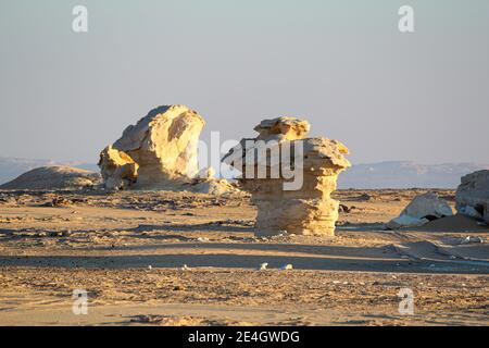 Bizarre Sandsteinformationen in der weißen Wüste, am frühen Morgen, Farafra, Ägypten Stockfoto