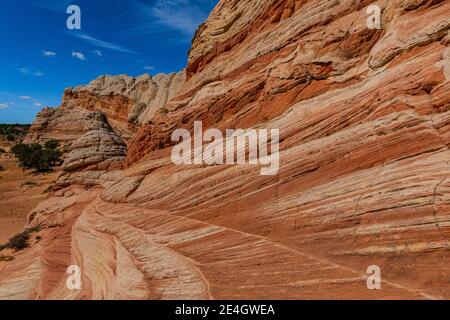 Navajo Sandsteinformationen in fantastischen Formen im White Pocket, Vermilion Cliffs National Monument, Arizona, USA Stockfoto