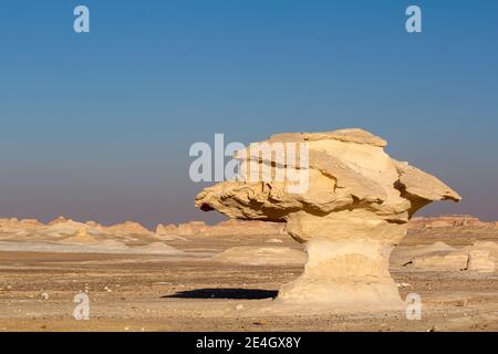 Bizarre Sandsteinformationen in der weißen Wüste, am frühen Morgen, Farafra, Ägypten Stockfoto