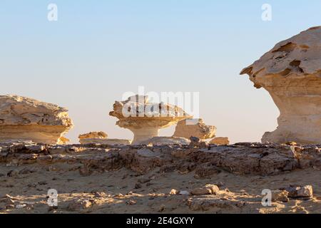 Bizarre Sandsteinformationen in der weißen Wüste, am frühen Morgen, Farafra, Ägypten Stockfoto