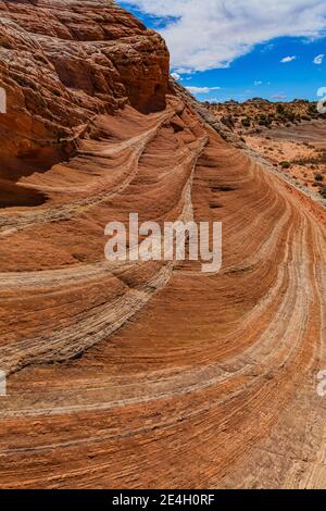 Navajo Sandsteinformationen in fantastischen Formen im White Pocket, Vermilion Cliffs National Monument, Arizona, USA Stockfoto