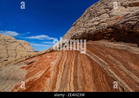 Navajo Sandsteinformationen in fantastischen Formen im White Pocket, Vermilion Cliffs National Monument, Arizona, USA Stockfoto