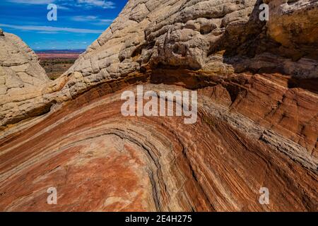 Navajo Sandsteinformationen in fantastischen Formen im White Pocket, Vermilion Cliffs National Monument, Arizona, USA Stockfoto