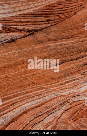 Navajo Sandsteinformationen in fantastischen Formen im White Pocket, Vermilion Cliffs National Monument, Arizona, USA Stockfoto