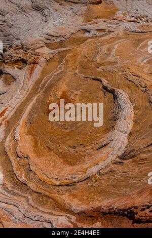 Navajo Sandsteinformationen in fantastischen Formen im White Pocket, Vermilion Cliffs National Monument, Arizona, USA Stockfoto