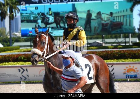 Hallandale Beach, Florida, USA. Januar 2021. 23. Januar 2021: #2 ein weiterer Duke, mit Jockey Paco Lopez an Bord, bricht sein Mädchen im Gulfstream Park in Hallandale Beach, Florida. Liz Lamont/Eclipse Sportswire/CSM/Alamy Live News Stockfoto