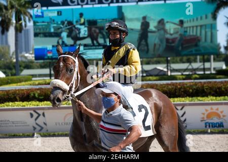 Hallandale Beach, Florida, USA. Januar 2021. 23. Januar 2021: #2 ein weiterer Duke, mit Jockey Paco Lopez an Bord, bricht sein Mädchen im Gulfstream Park in Hallandale Beach, Florida. Liz Lamont/Eclipse Sportswire/CSM/Alamy Live News Stockfoto