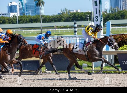 Hallandale Beach, Florida, USA. Januar 2021. 23. Januar 2021: #2 ein weiterer Duke, mit Jockey Paco Lopez an Bord, bricht sein Mädchen im Gulfstream Park in Hallandale Beach, Florida. Liz Lamont/Eclipse Sportswire/CSM/Alamy Live News Stockfoto