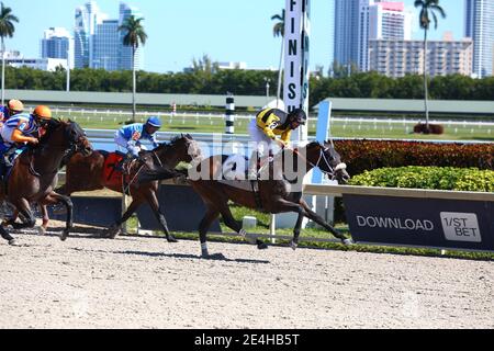 Hallandale Beach, Florida, USA. Januar 2021. 23. Januar 2021: #2 ein weiterer Duke, mit Jockey Paco Lopez an Bord, bricht sein Mädchen im Gulfstream Park in Hallandale Beach, Florida. Liz Lamont/Eclipse Sportswire/CSM/Alamy Live News Stockfoto