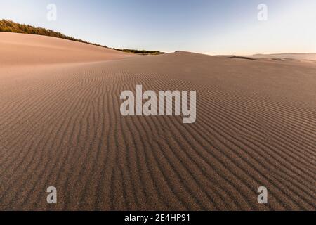 Sanddünen erzeugen Linien und Muster auf dem sandigen Boden. Ein beeindruckendes Naturmuster in einer wilden Umgebung am abgelegenen Topocalma Strand Stockfoto