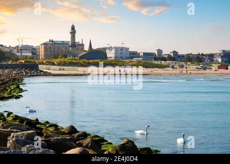 Der Strand, die Stadt und der Leuchtturm von Warnemunde, Deutschland, entlang der Ostsee im frühen Herbst, während weiße Schwäne entlang der felsigen Küste schwimmen. Stockfoto