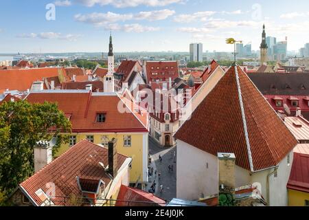 Blick auf die Altstadt der baltischen Stadt Tallinn Estland vom Aussichtspunkt auf Toompea Hill, mit den Kreuzfahrtschiffen in der Ferne sichtbar. Stockfoto