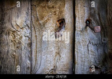 Selektive Fokus Detail von zwei rostigen Nägel auf einem verwitterten Holztür Stockfoto