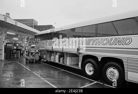 Greyhound-Bus am San Francisco Busbahnhof in der 7th Street zwischen Mission und Market Street. Kalifornien, 1980 Stockfoto